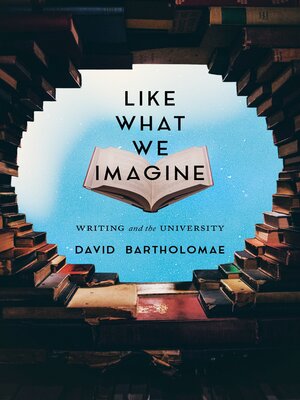 cover image of Like What We Imagine